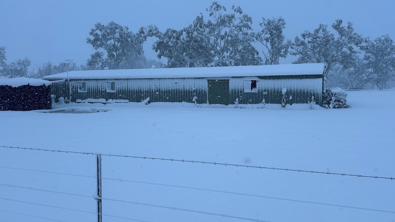 Photo of Outdoor in Saumarez Ponds