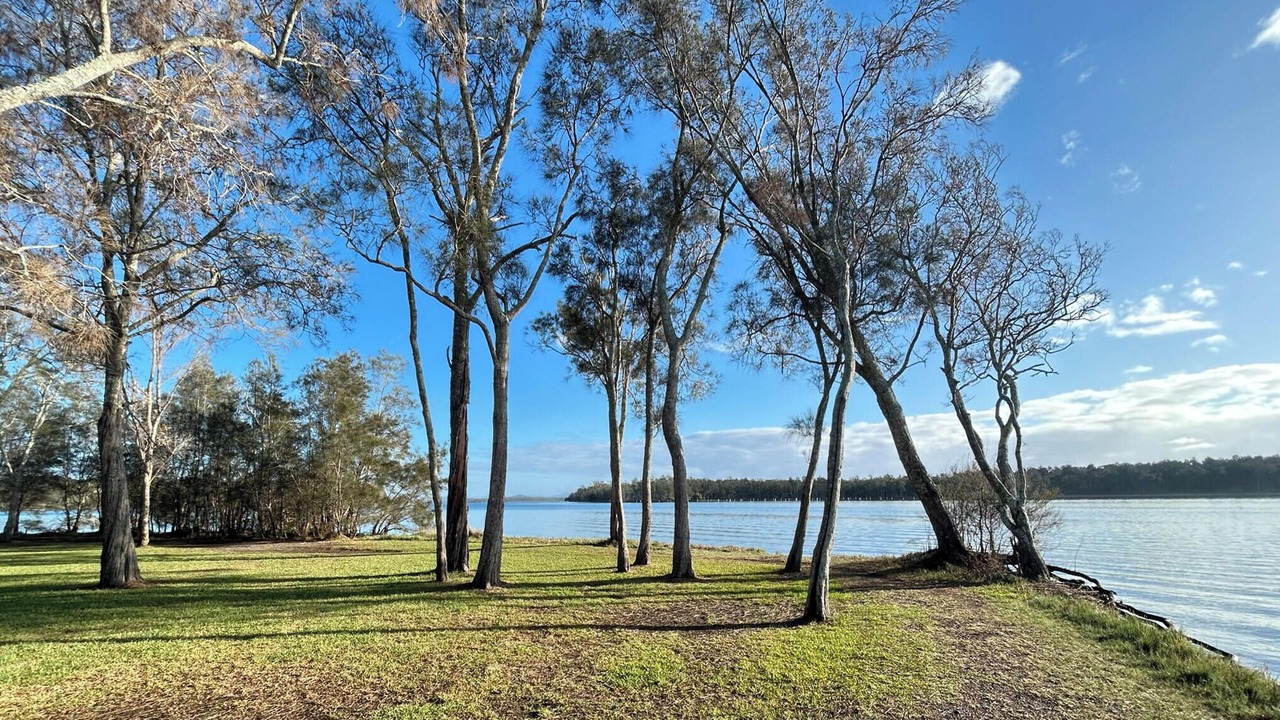 Photo of Others in Coomba Park