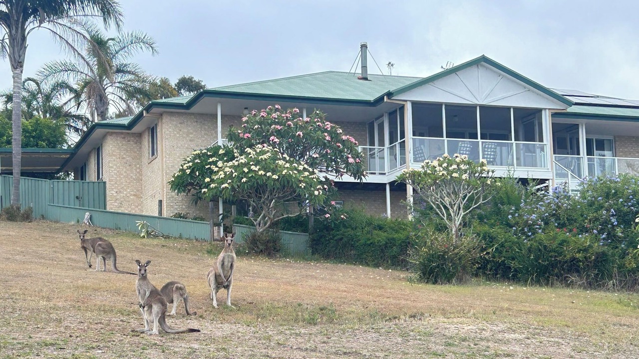 Photo of Outdoor in Coomba Park