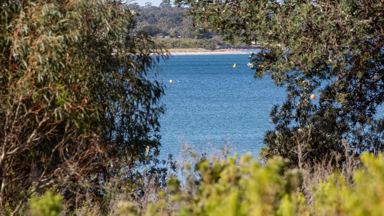 Photo of Others in Balnarring Beach