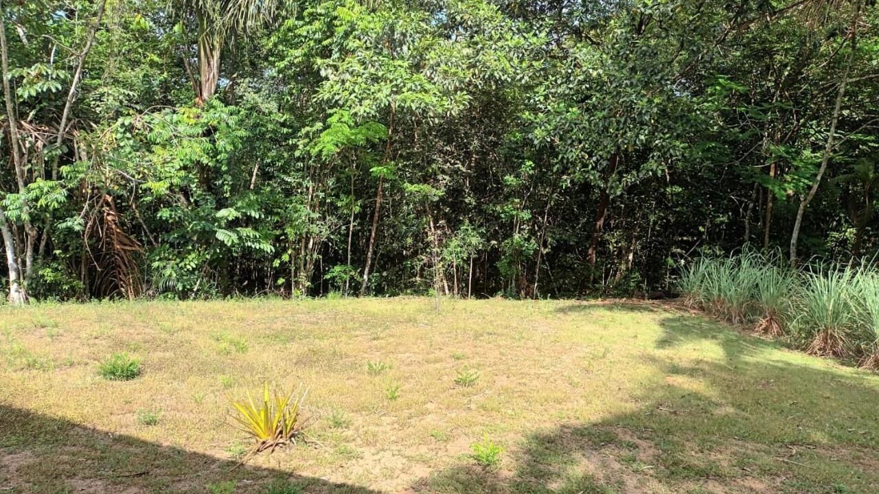 Photo of Outdoor in Montsinery-Tonnegrande