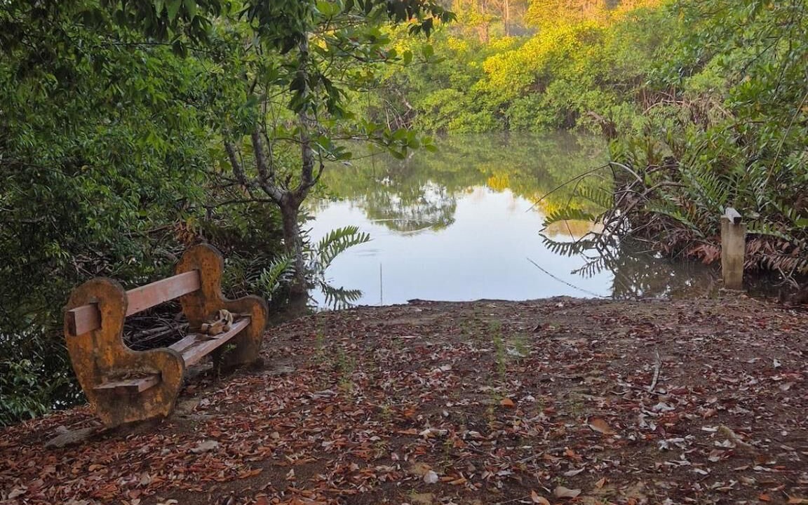 Photo of Outdoor in Montsinery-Tonnegrande