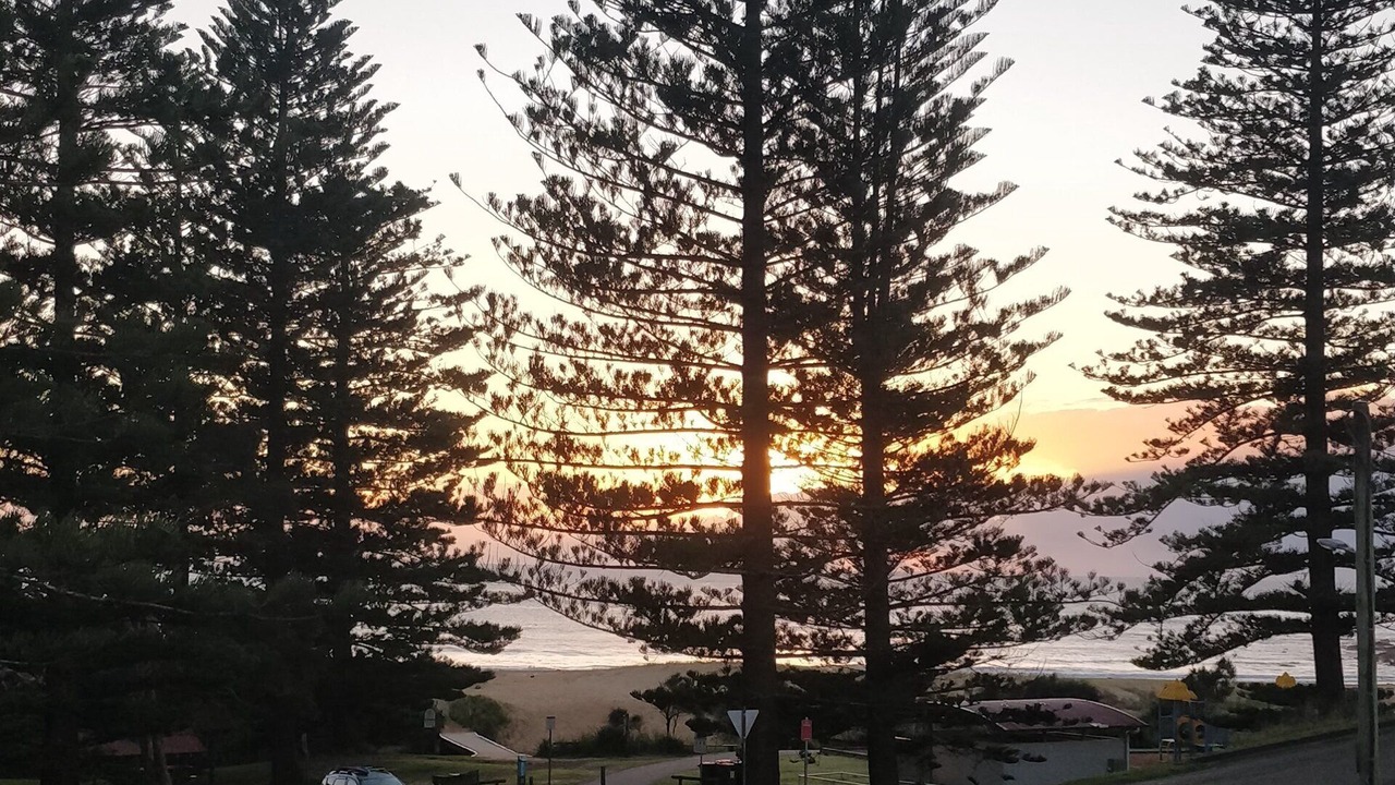 Photo of Outdoor in Black Head