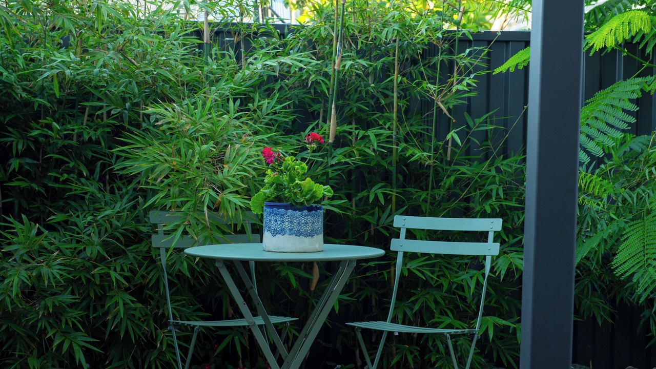 Photo of Outdoor in Mosman Park