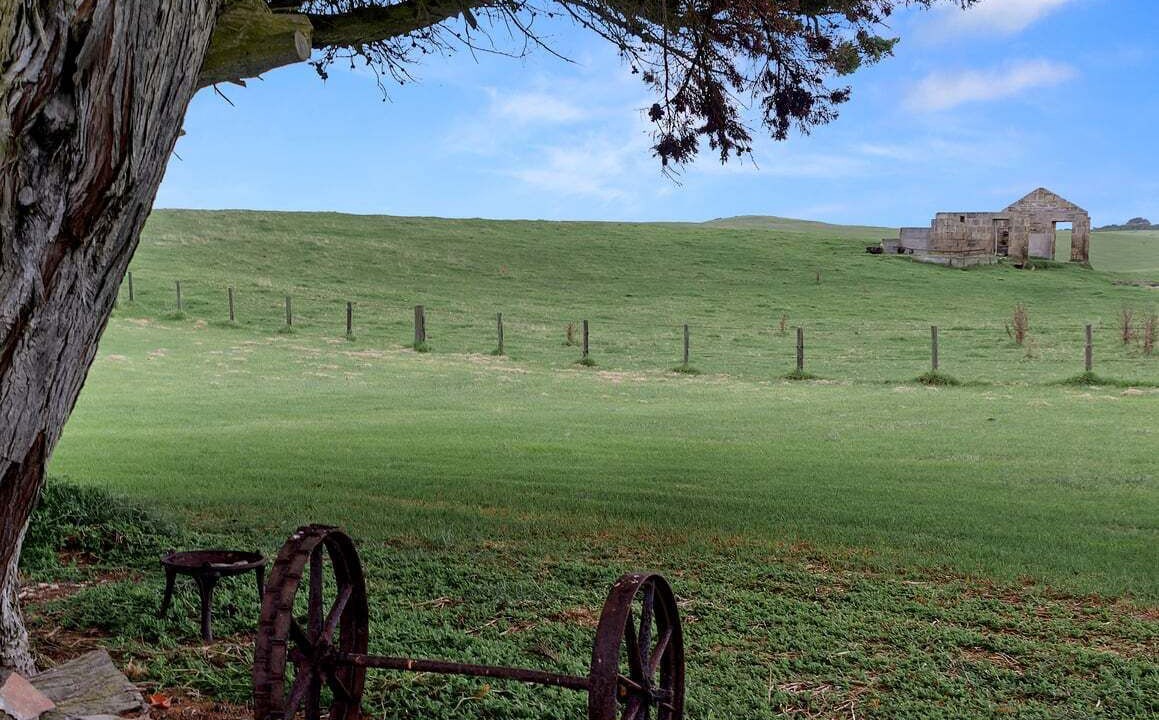 Photo of Others in Cape Bridgewater
