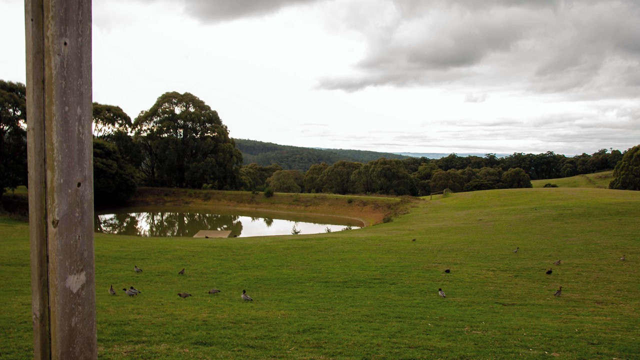 Photo of Others in Kinglake