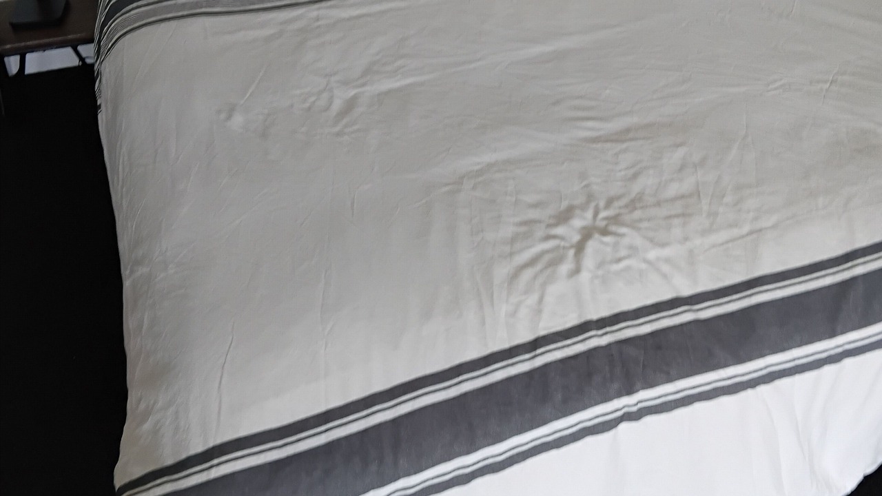 Photo of Bedroom in Dee Why