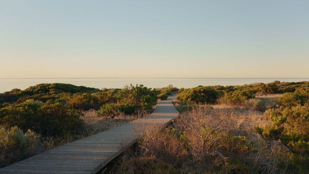 Photo of Others in Normanville
