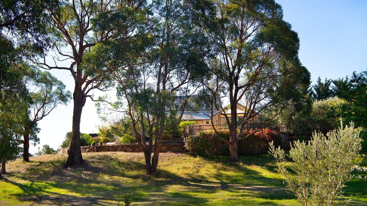 Photo of Outdoor in Elevated Plains