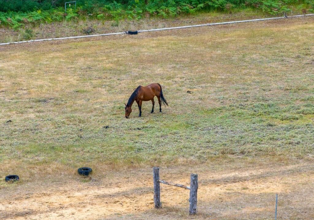 Photo of Others in Upper Warren