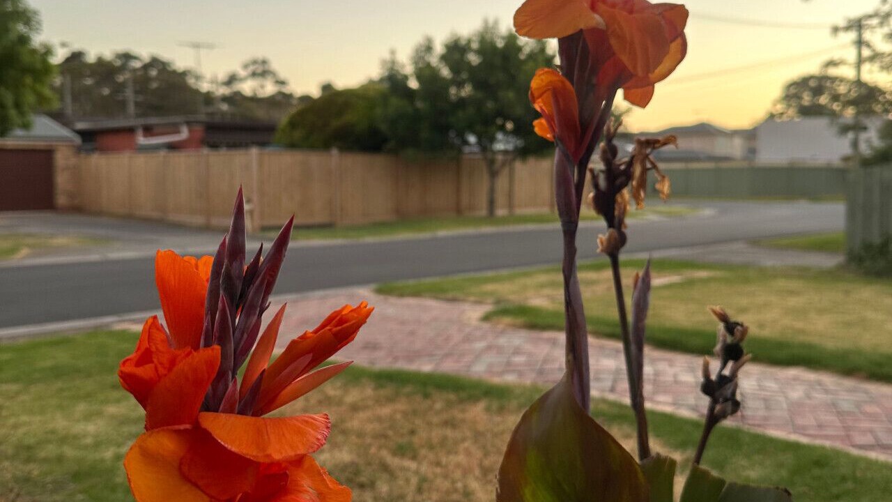 Photo of Outdoor in Werribee