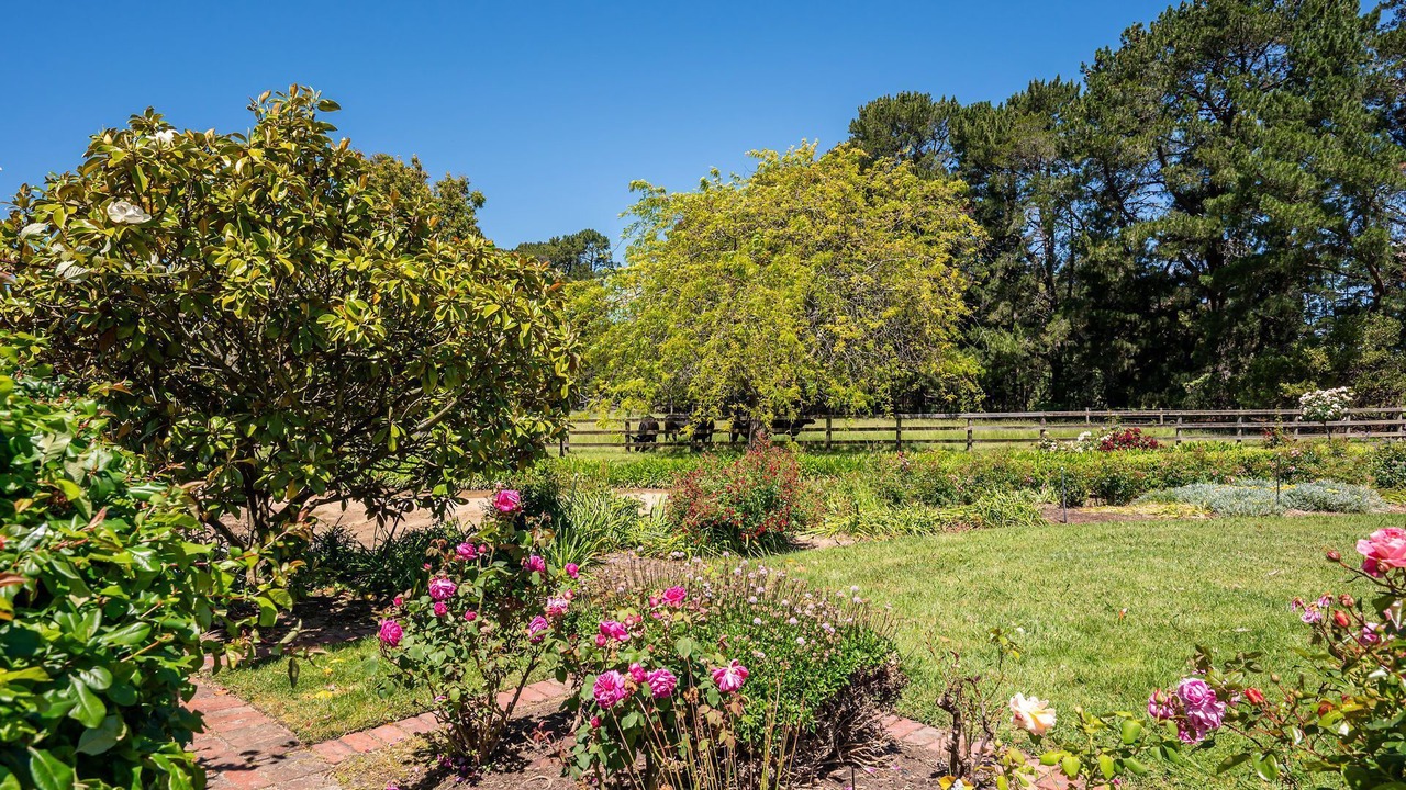 Photo of Outdoor in Moorooduc