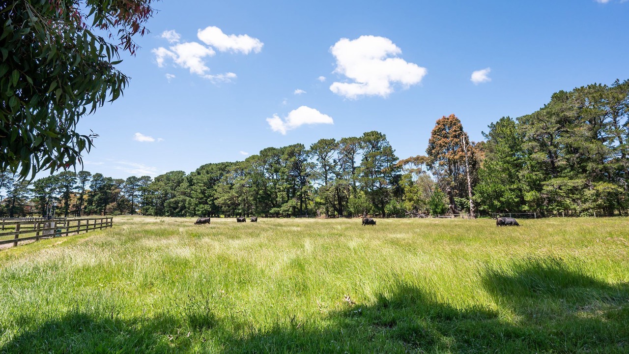 Photo of Others in Moorooduc