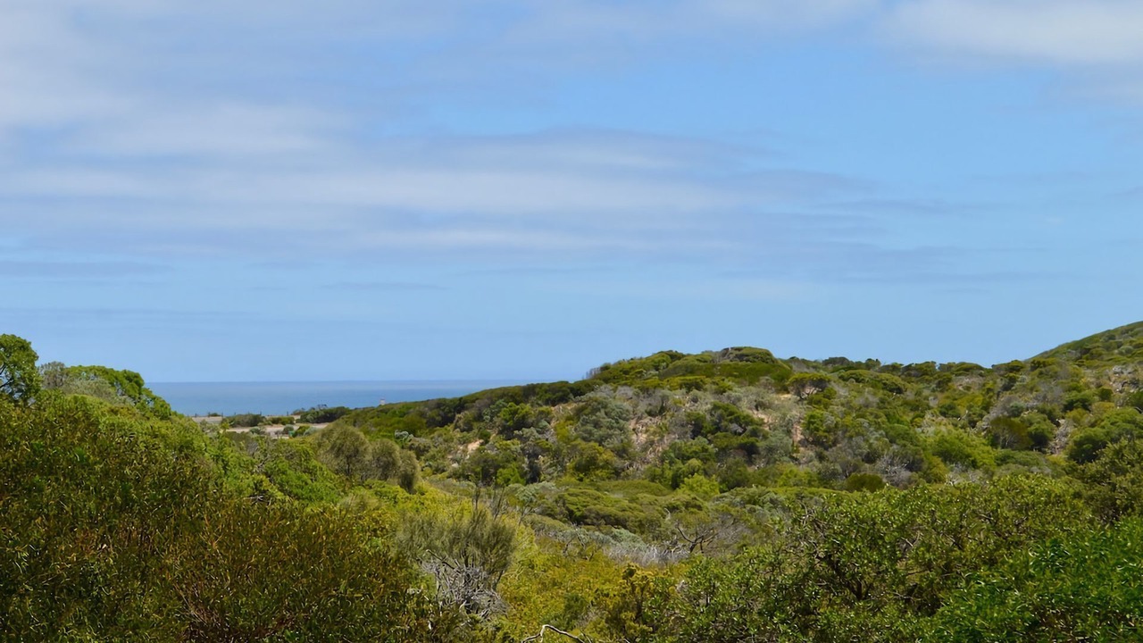 Photo of Others in Portsea