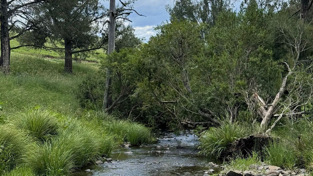 Photo of Others in Bakers Creek