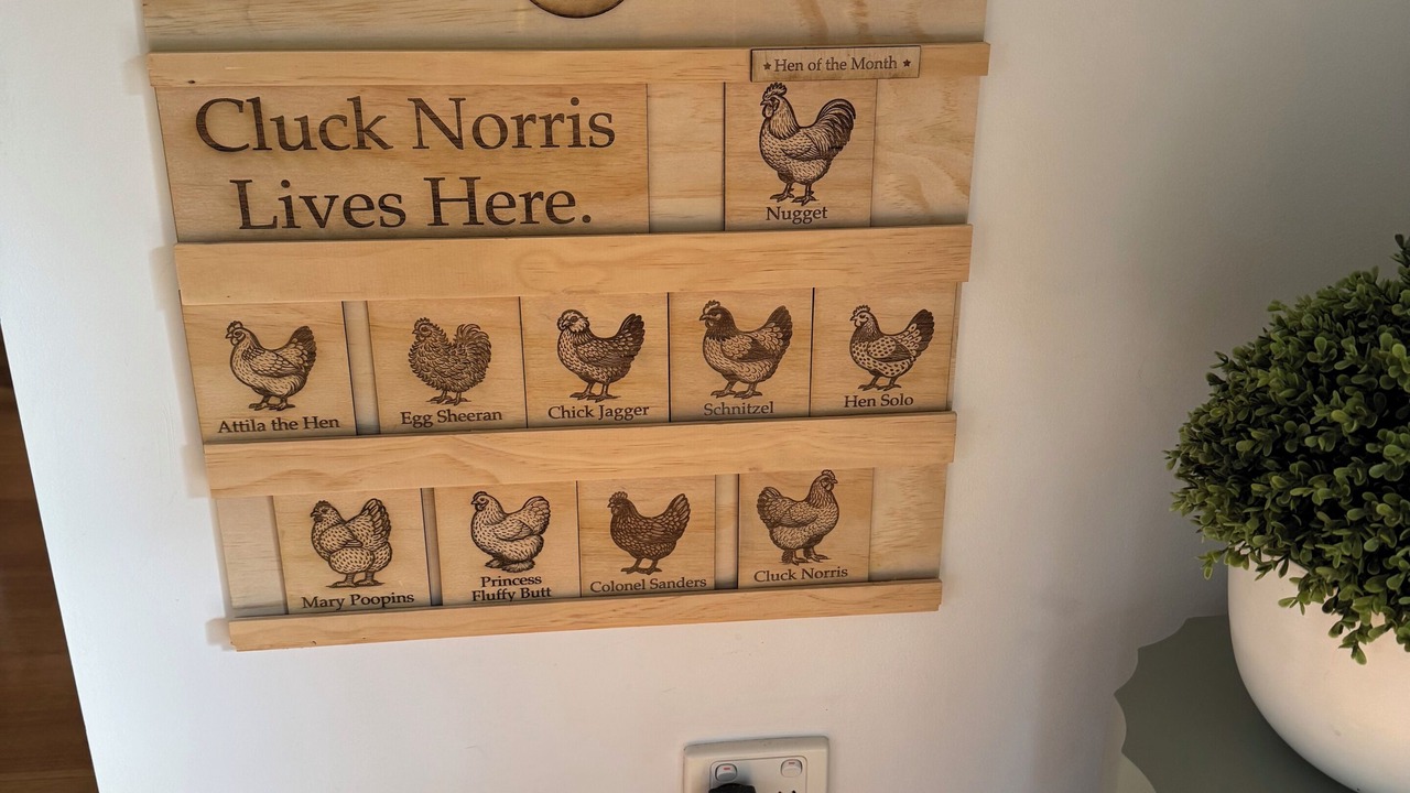 Photo of Others in Noojee