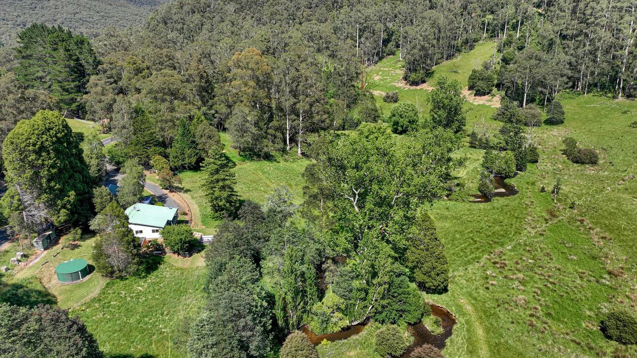Photo of Outdoor in Noojee
