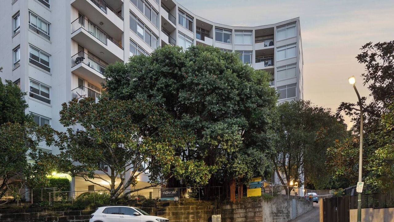 Photo of Others in Elizabeth Bay