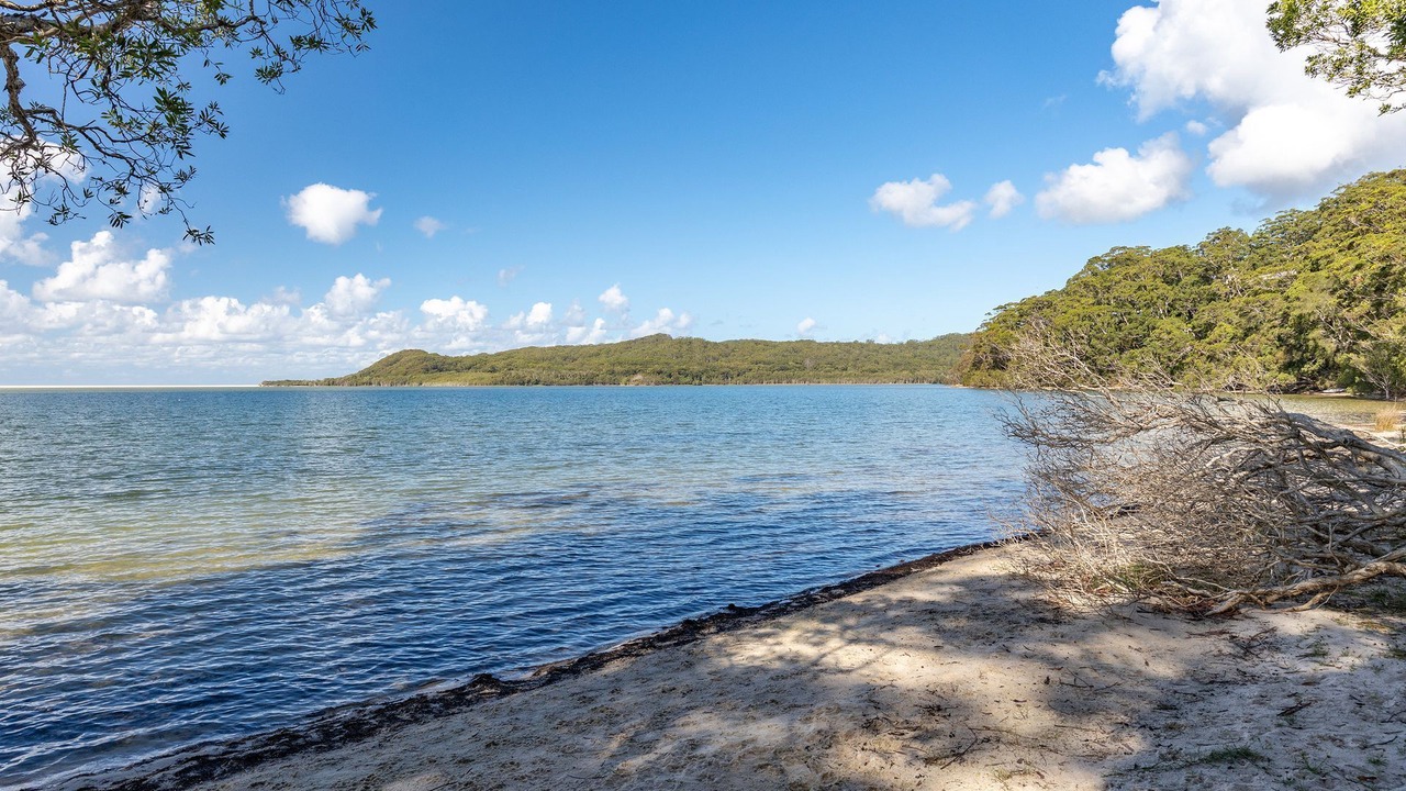 Photo of Outdoor in Smiths Lake