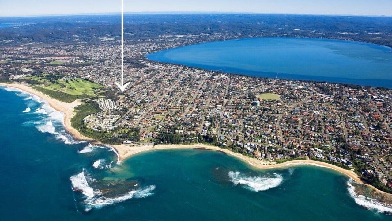Photo of Others in Shelly Beach