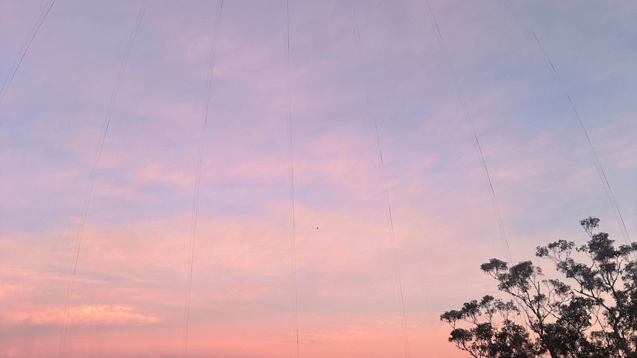 Photo of Outdoor in Megalong Valley