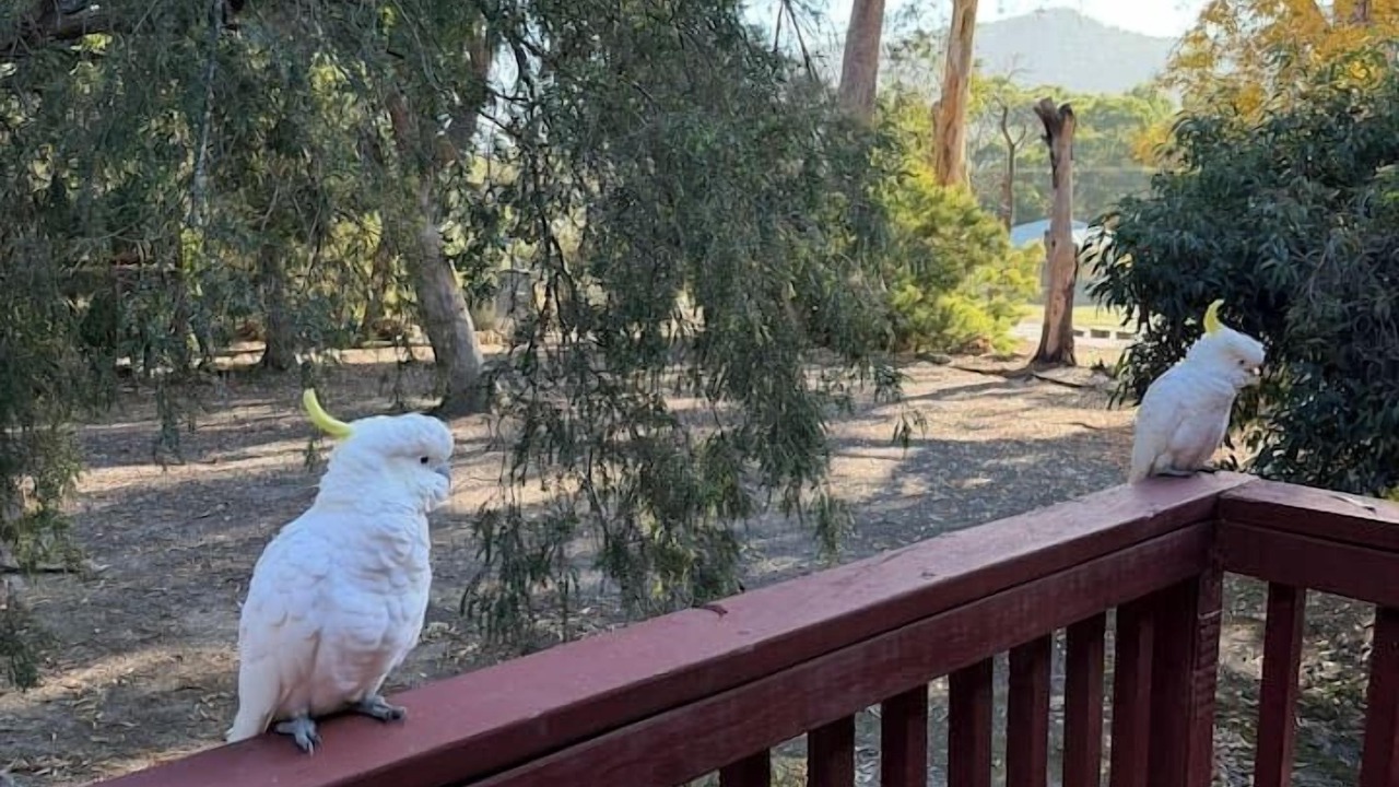Photo of Outdoor in Halls Gap