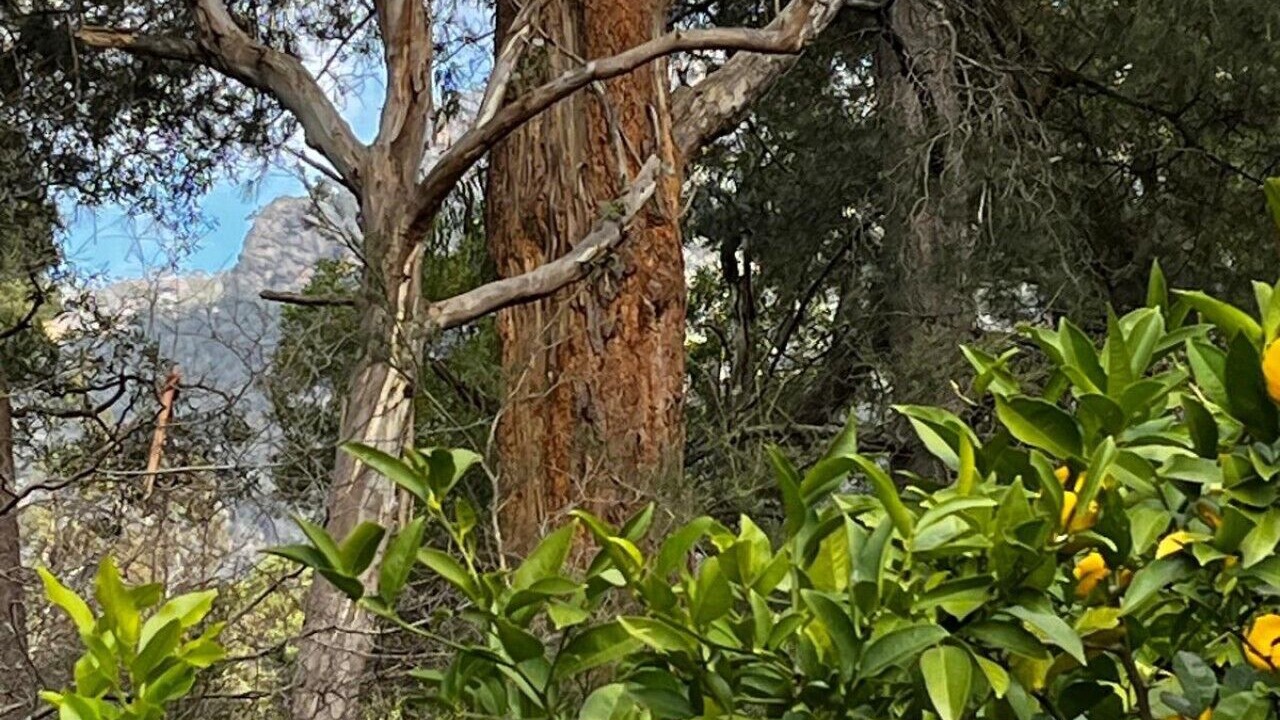 Photo of Others in Halls Gap