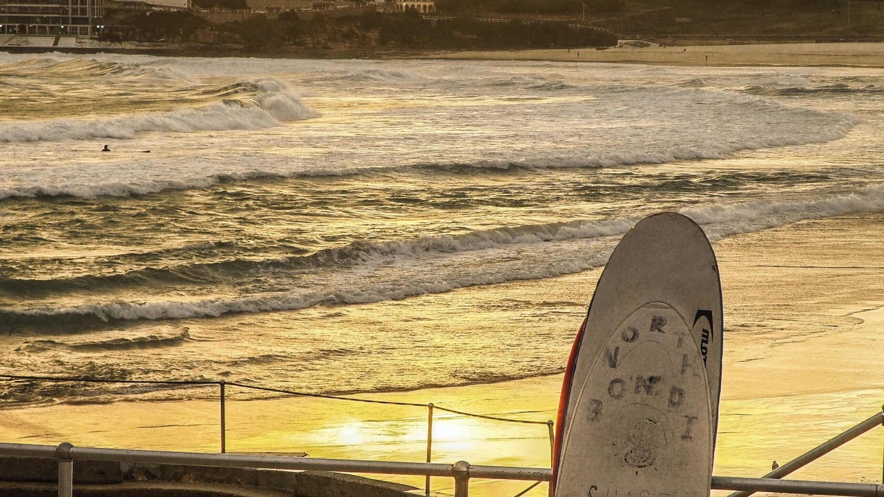 Photo of Others in Bondi Beach
