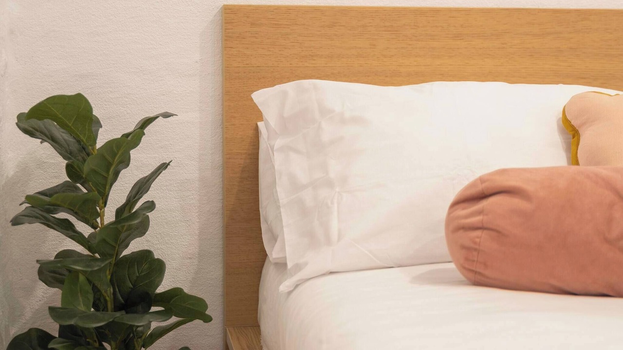 Photo of Bedroom in Bondi