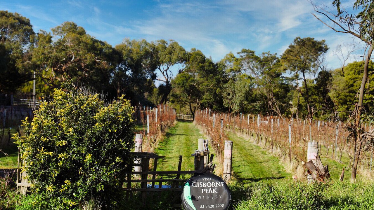 Photo of Outdoor in Gisborne