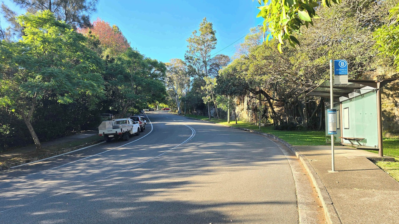 Photo of Others in Neutral Bay