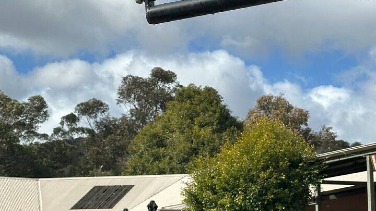 Photo of Others in Halls Gap