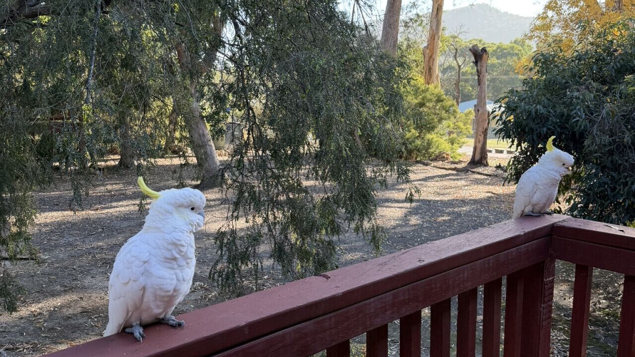Photo of Outdoor in Halls Gap