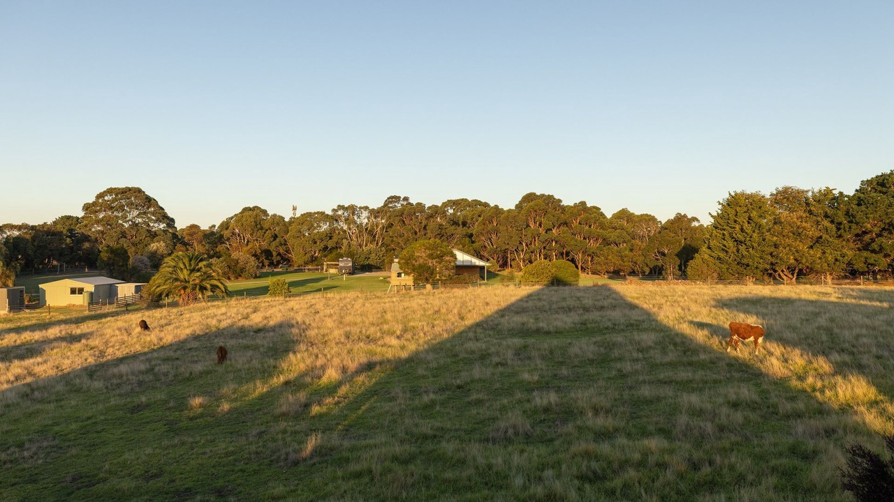Photo of Others in Coronet Bay