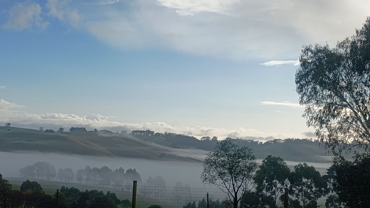 Photo of Others in Korumburra