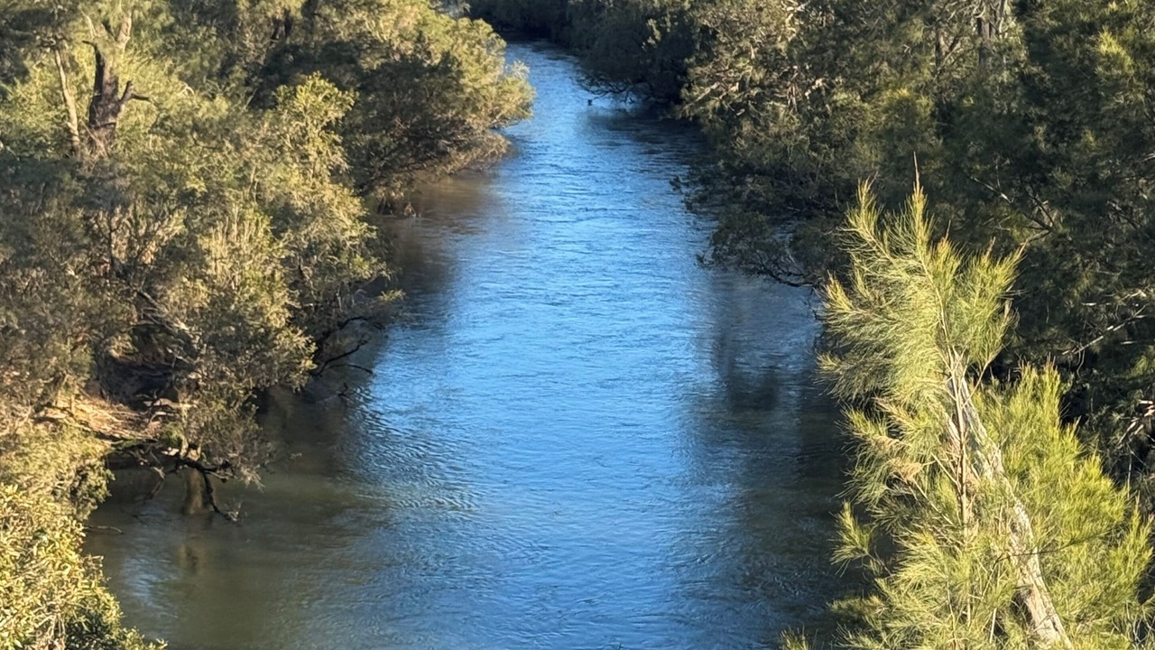 Photo of Others in Nymboida