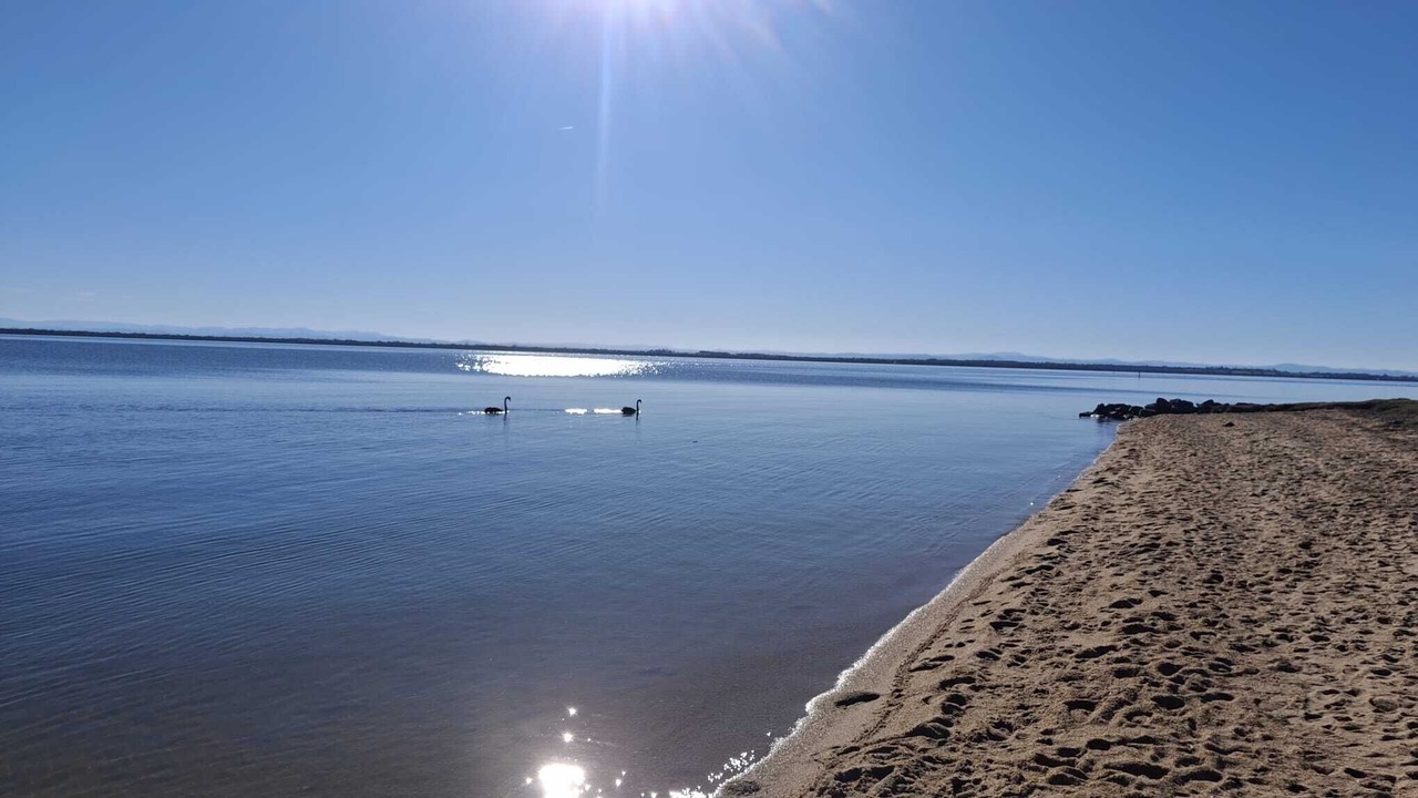 Photo of Others in Loch Sport