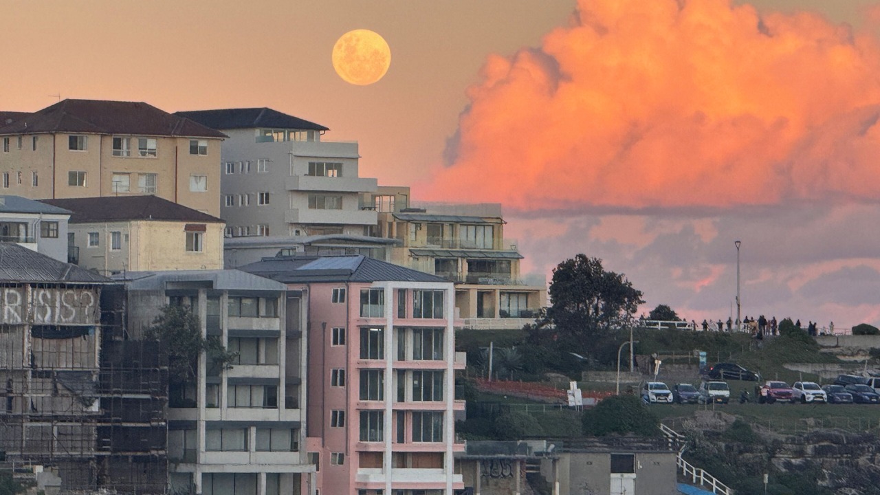 Photo of Others in Bondi Beach