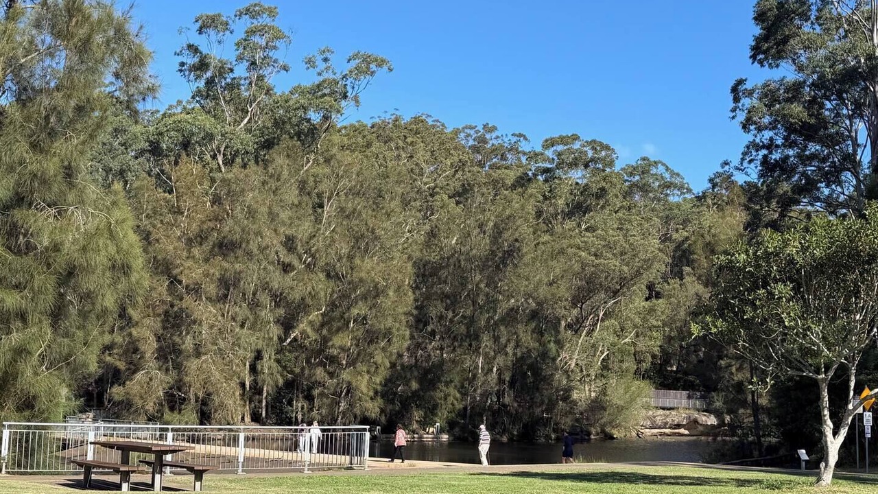 Photo of Others in Chatswood West