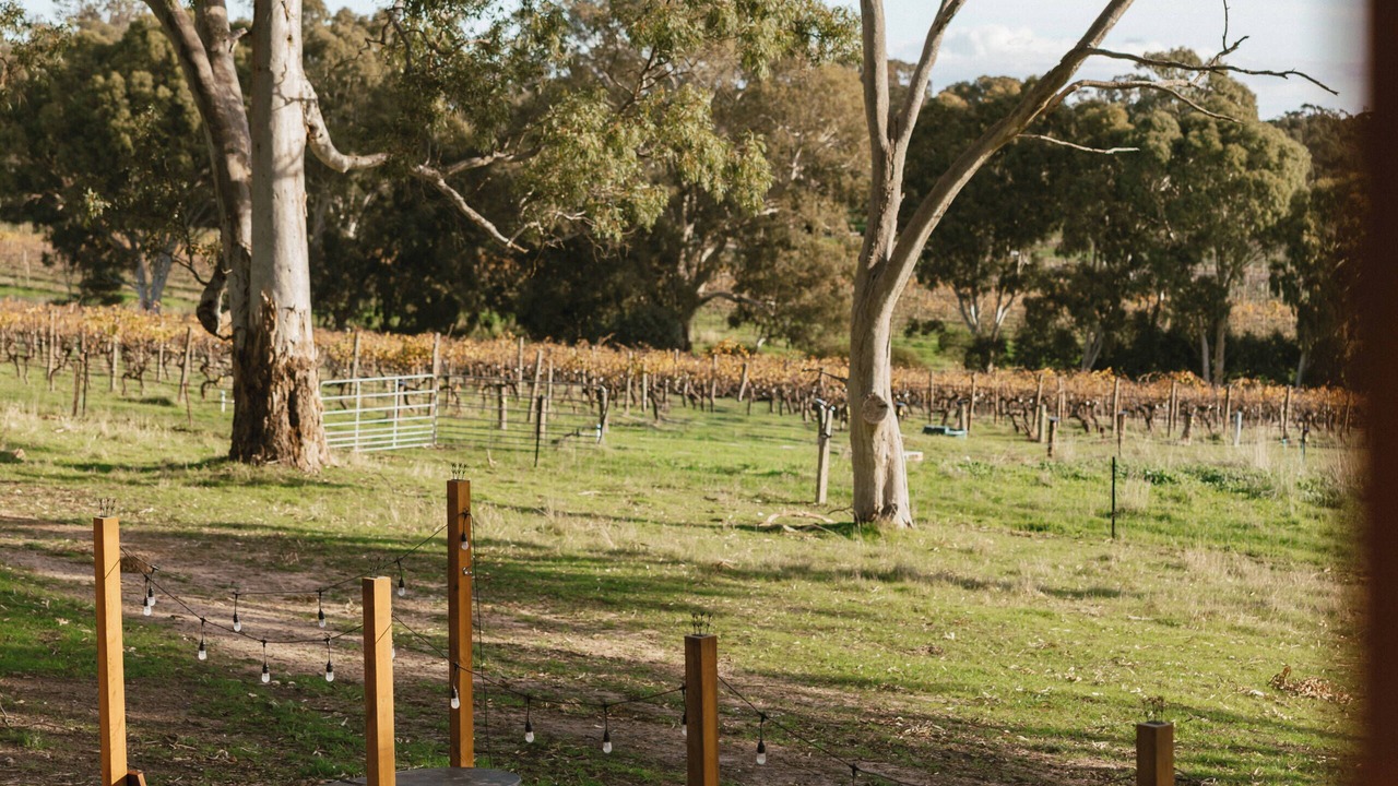 Photo of Others in McLaren Vale