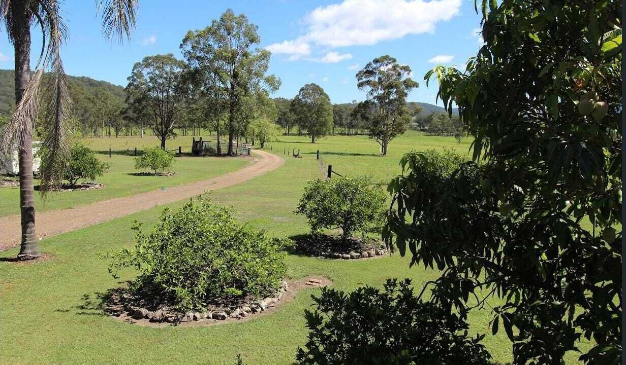 Photo of Outdoor in Nabiac
