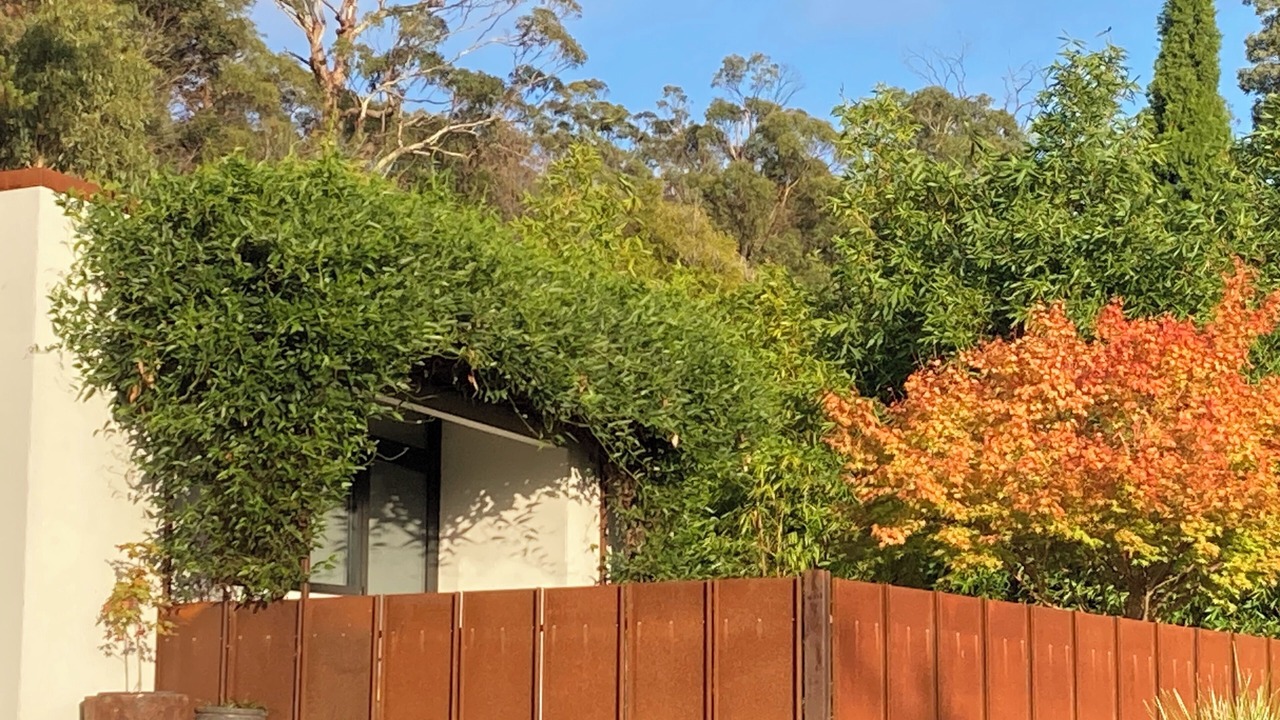 Photo of Outdoor in Deviot