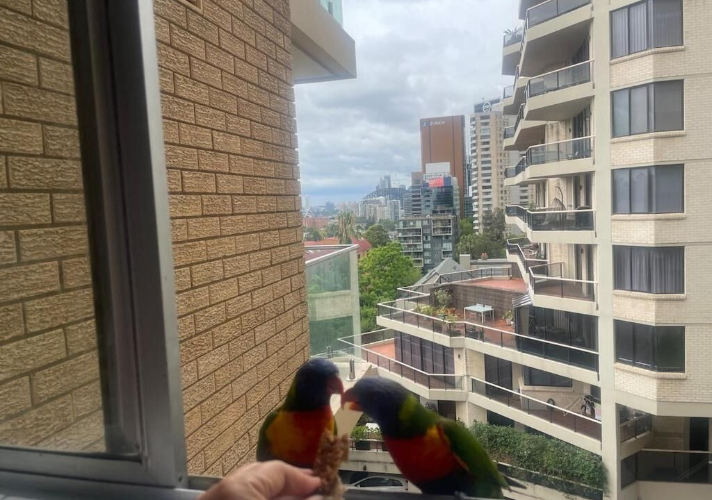 Photo of Others in North Sydney