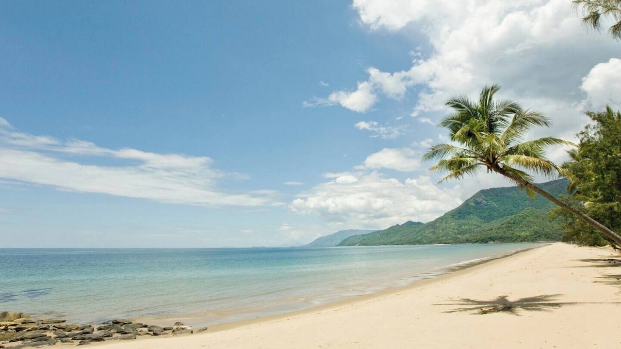 Photo of Others in Port Douglas