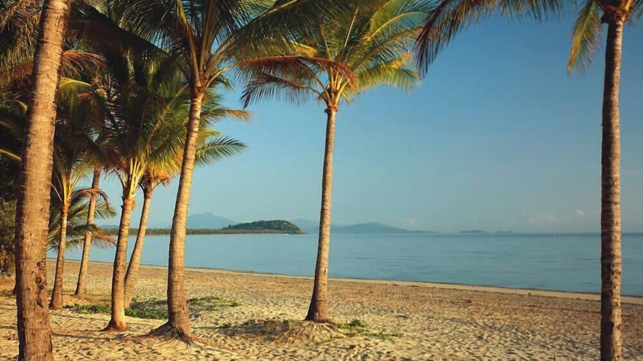 Photo of Others in Port Douglas