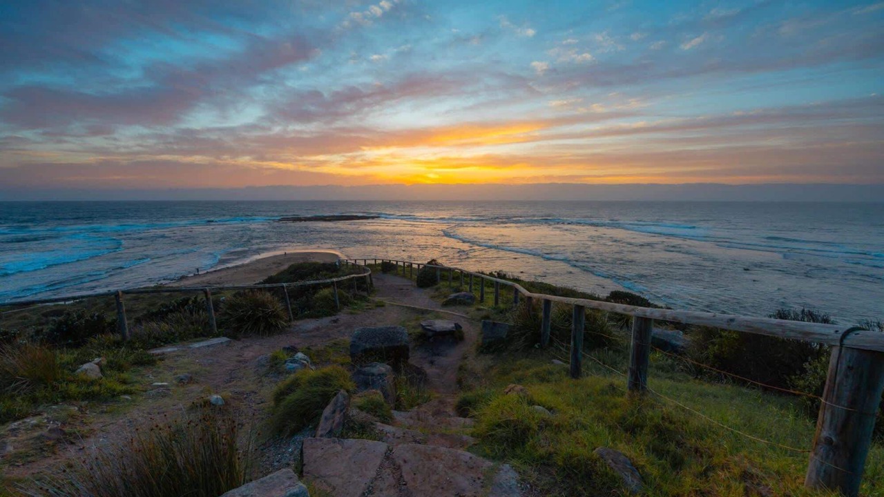 Photo of Others in Narrabeen