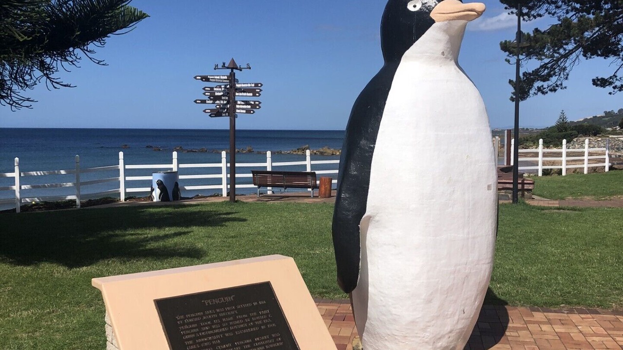 Photo of Outdoor in Penguin