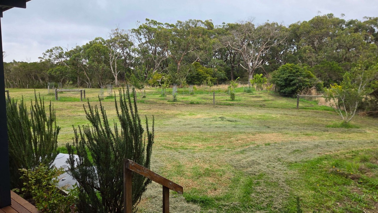 Photo of Outdoor in Fish Creek