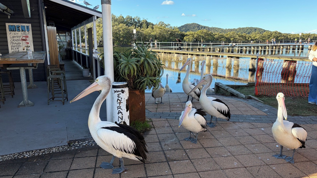Photo of Outdoor in Umina Beach
