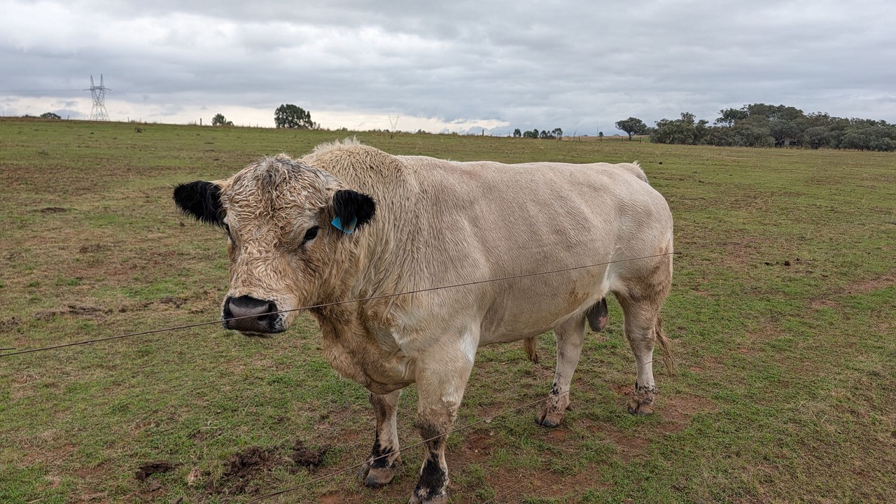 Photo of Others in Oxley Vale